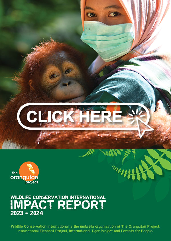 Download our Impact Report